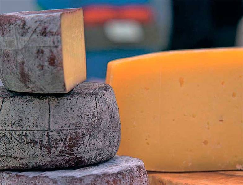  «Белая нефть» из Вятки собрала экспертизу по рынку, каких сортов мало, и оказалось, что сыры с белой и голубой плесенью почти никто не делал