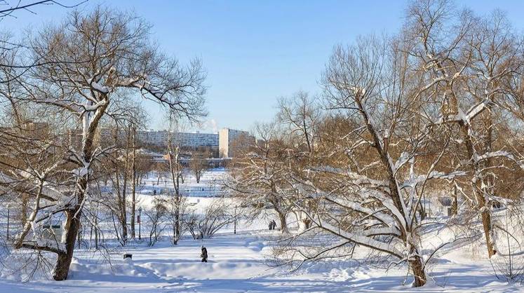 Зима капризничает: Москву ждет неделя температурных качелей