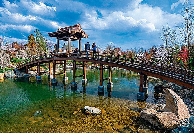 ДЬЯЧУК/КУБАНЬ ИНФОРМ/ТАСС Крупнейший японский сад за пределами Страны восходящего солнца