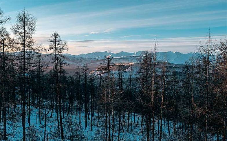 ПРЕДОСТАВЛЕНО ПРЕСС-СЛУЖБОЙ 