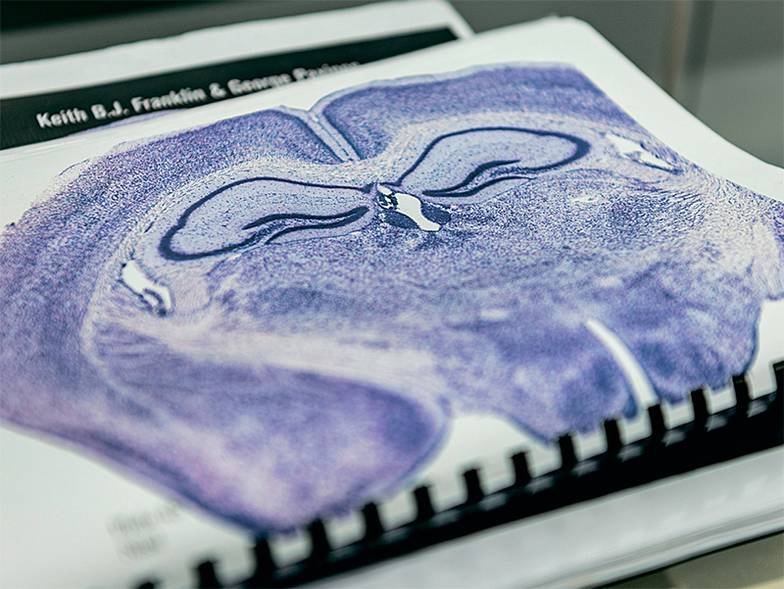 Фотография предоставлена PR-службой Сколтеха 