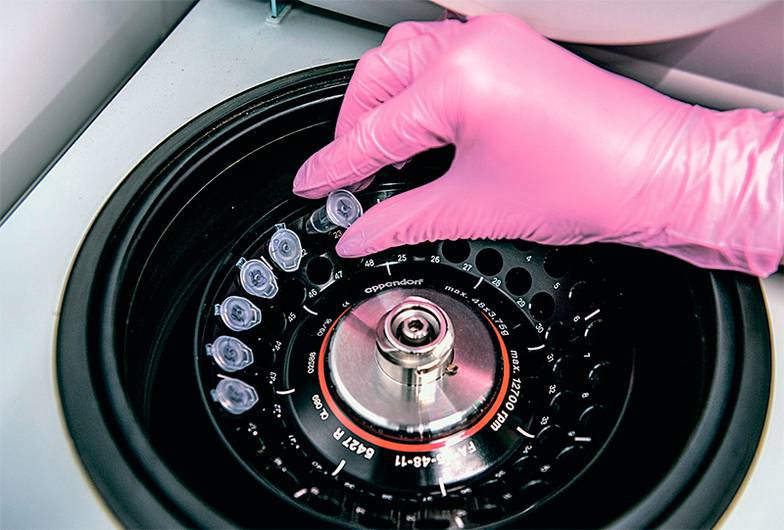 Фотография предоставлена PR-службой Сколтеха 