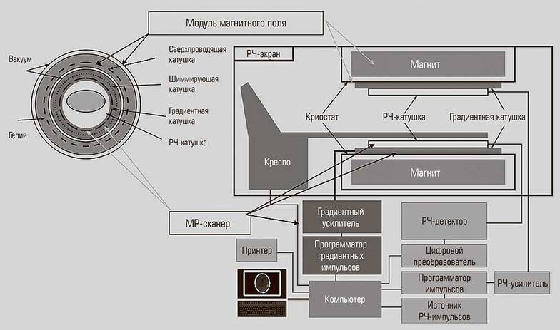 предоставлено Евгением Демиховым Схема МРТ-томографа