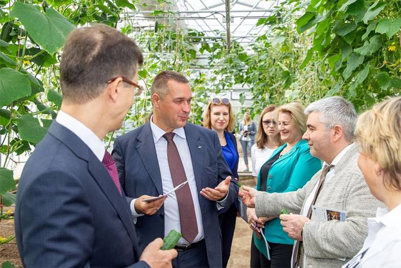 предоставлено пресс-службой компании Органическая ферма М2 владельцев Major Михаила Бахтиарова и Павла Абросимова уже приносит свои плоды