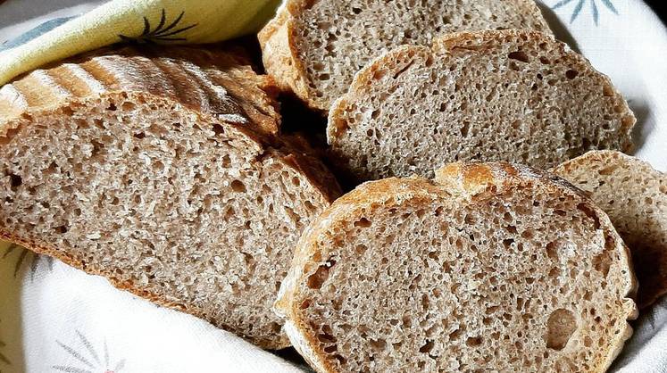 В России появятся мясо и хлеб из белка насекомых