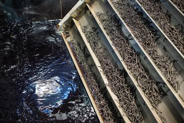 Предоставлено пресс-службой 