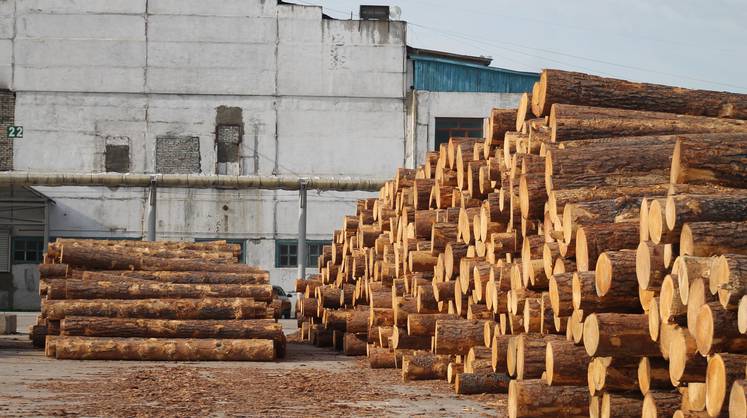 Segezha Group купит лесопромышленные активы в Сибири