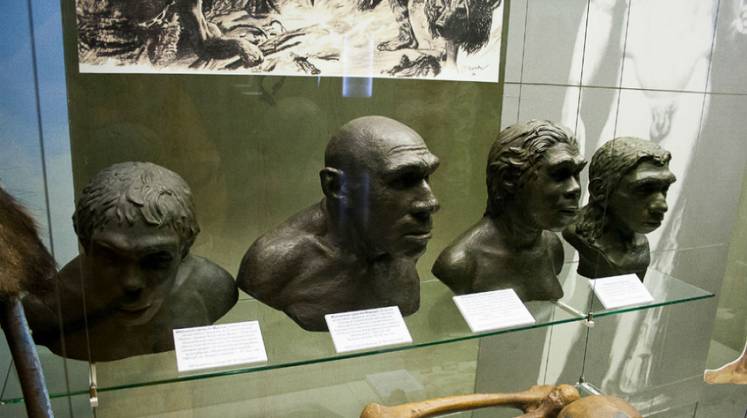 Ученые узнали, чем питались сибирские неандертальцы
