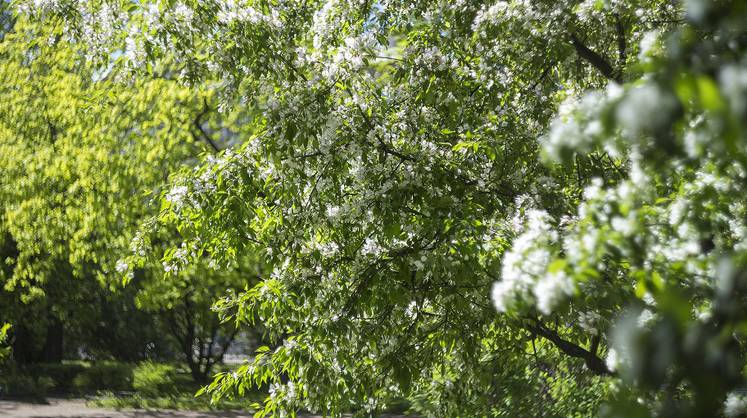 Прогноз погоды: Россию ждёт климатический кульбит