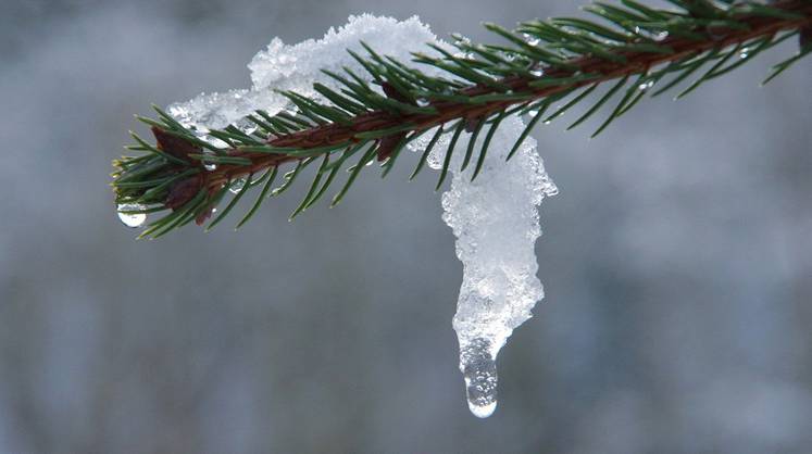 Прогноз погоды: синоптики рассказали, когда в Россию придёт весна