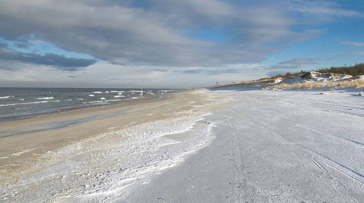 В Польше рассказали, как «удар по Москве» обогатит россиян