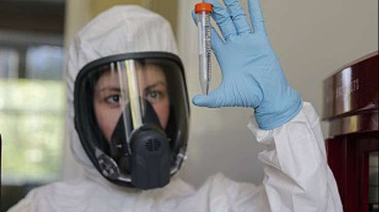 В РФПИ оценили промежуточные результаты исследования «Спутник V»