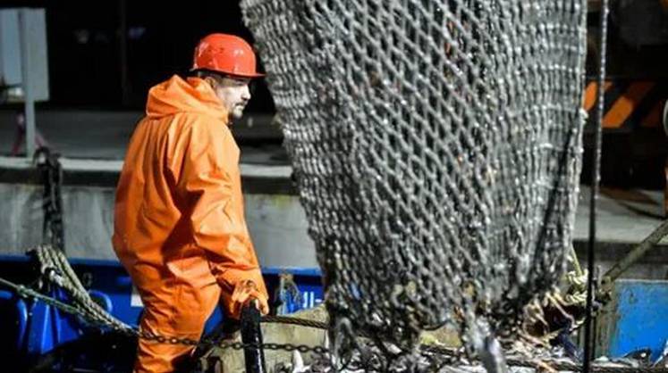 Правительство субсидирует РЖД перевозку минтая с Дальнего Востока