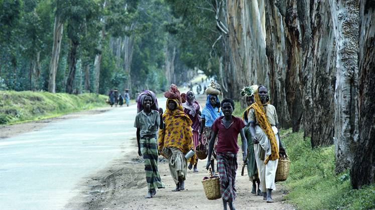 Москва укрепляет позиции в Африке: столичные компании осваивают рынок Эфиопии с помощью МЭЦ