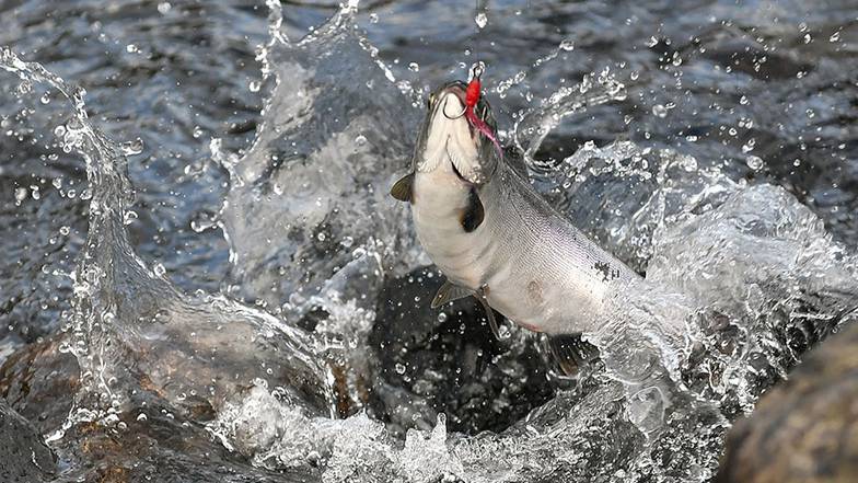Лев Федосеев/ТАСС 
