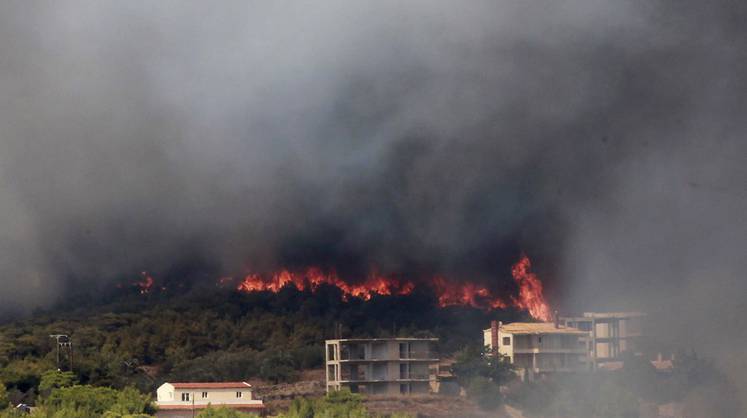 Уже три недели лесные пожары терзают Грецию