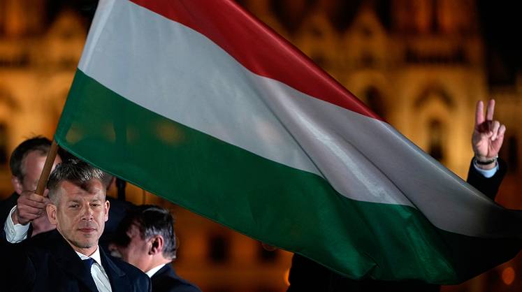 Цена за вход в цветущий сад