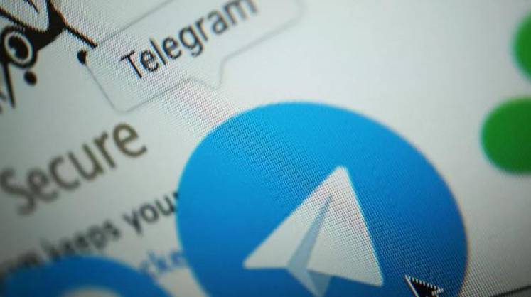 В Италии за продажу поддельных COVID-сертификатов закрыли Telegram-каналы