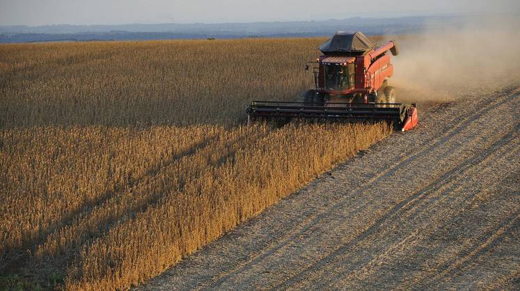 Россия в этом году может собрать рекордный урожай зерна