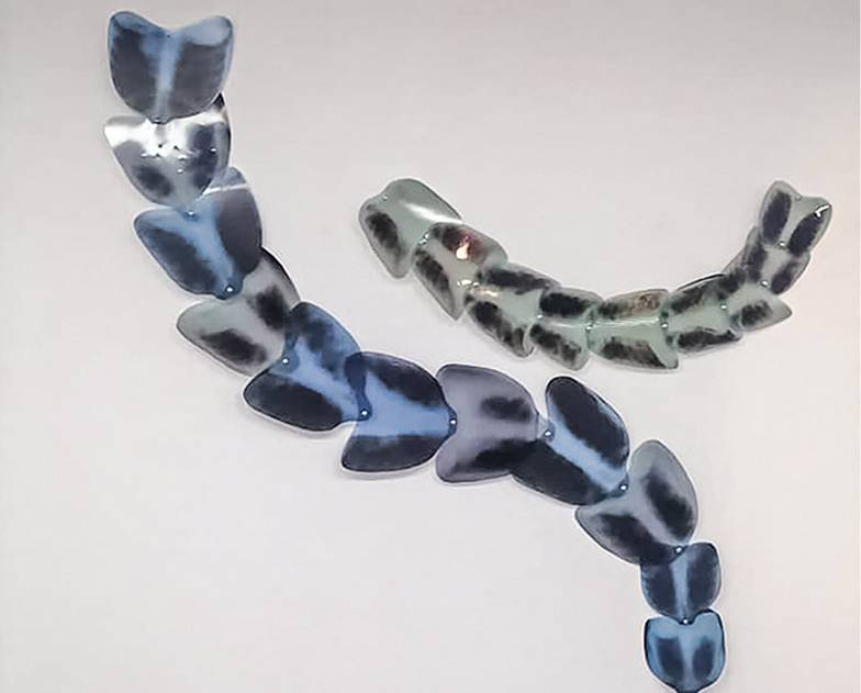  Варвара Мурина, Cороконожки