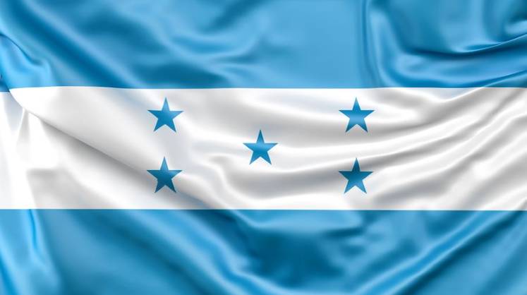 Гондурас подал прошение на вступление в Новый банк развития БРИКС