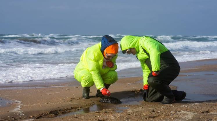 Ученые нашли новый способ отслеживать мазут в Черном море