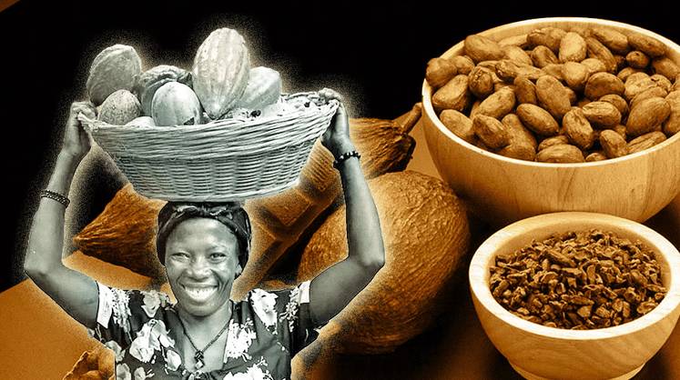 Цены на какао-бобы взлетели до беспрецедентных уровней