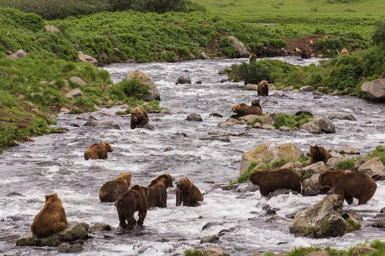 kamchatkadolinageyzerov.ru 