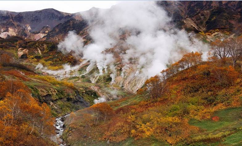 kamchatkadolinageyzerov.ru 