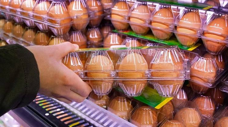 ФАС призвала российских ритейлеров временно установить планку в 5% наценки на все куриные яйца