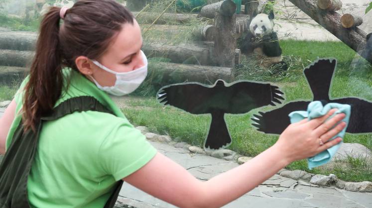 В России выявлено 23,5 тыс. новых случаев заболевания коронавирусом за сутки