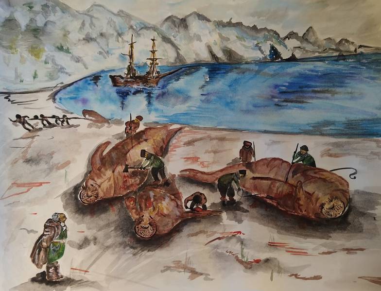 Иллюстрация Екатерины Хритоненковой Витус Беринг и его экспедиция