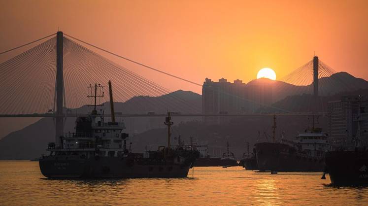 Мэр Сочи объяснил, почему власти отказались от запуска турецкого парома