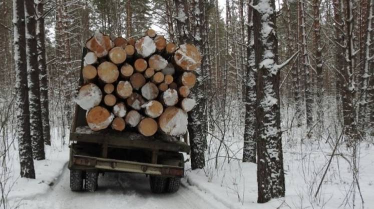 Нейросеть поможет контролировать транспортировку леса в России