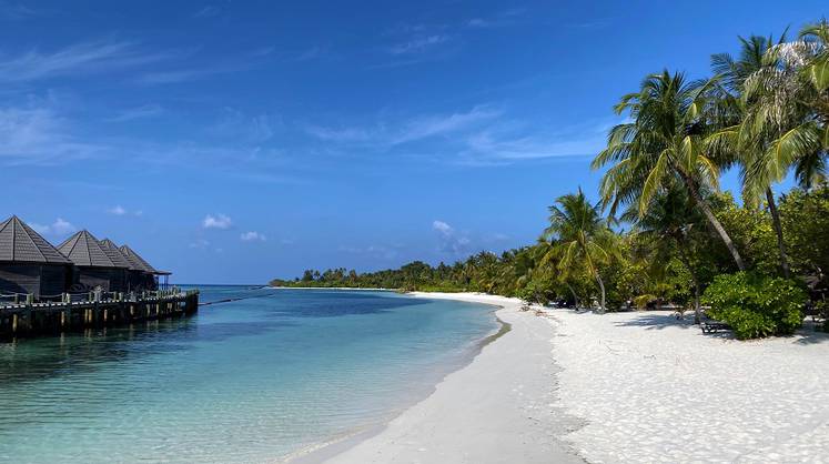 Большинство туристов, посетивших Мальдивы в начале мая, прибыли из России