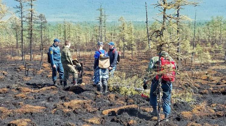 Пострадавшим от пожаров сибирякам реструктурируют кредиты