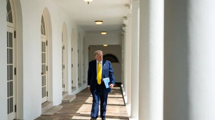 Стало известно, когда Трамп встретится с Зеленским и лидерами ЕС