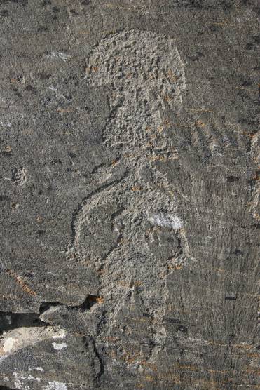 Игорь Георгиевский Петроглифы на реке Пегтымель Чукотка, мухоморка