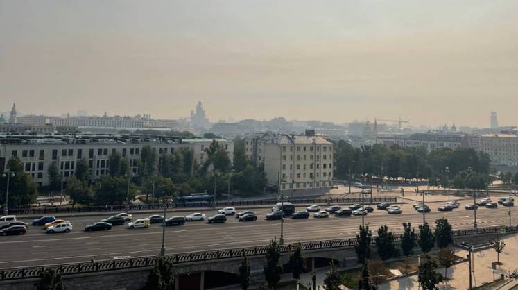 Дошедший до Москвы дым от пожаров под Рязанью продержится в столице не менее двух суток