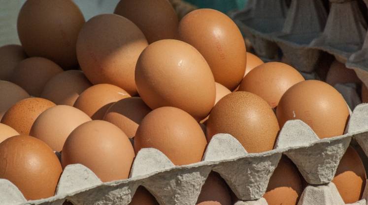 Цены на куриные яйца в России начали снижаться