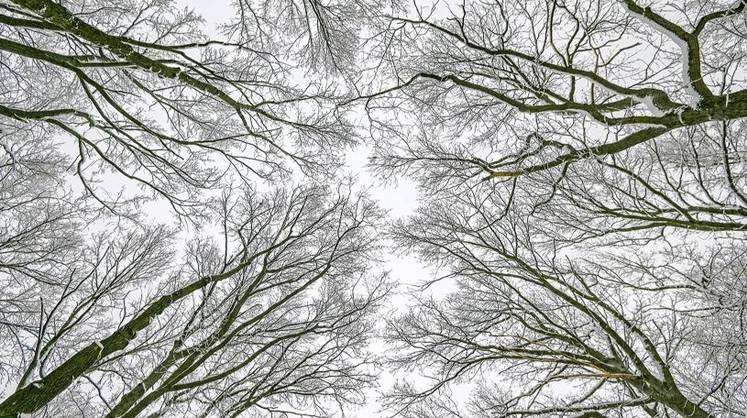 «Афанасьевские» морозы бьют рекорды