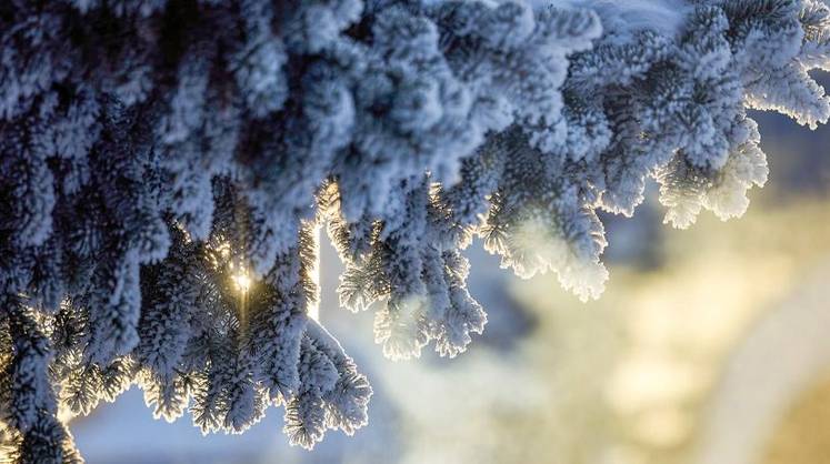 Погода в Москве преподнесет сюрприз