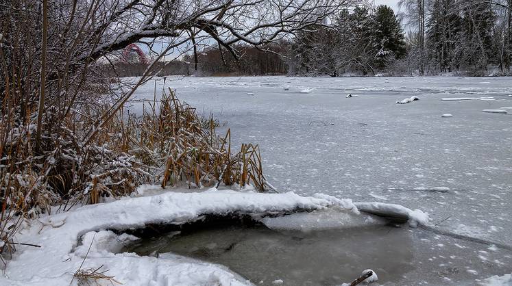 Прогноз погоды: синоптики предупредили о необычной погоде на этой неделе