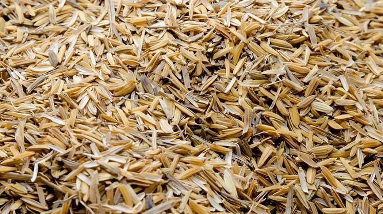 Рисовая шелуха стала ценным сырьем для малотоннажной химии