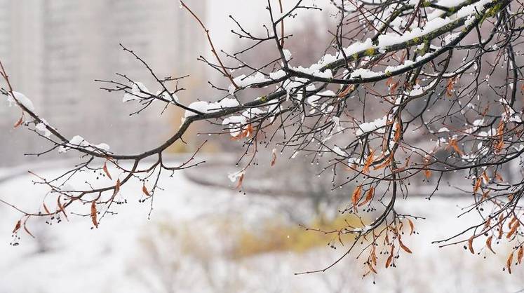 Атлантическое тепло: зима начнется с погодных сюрпризов