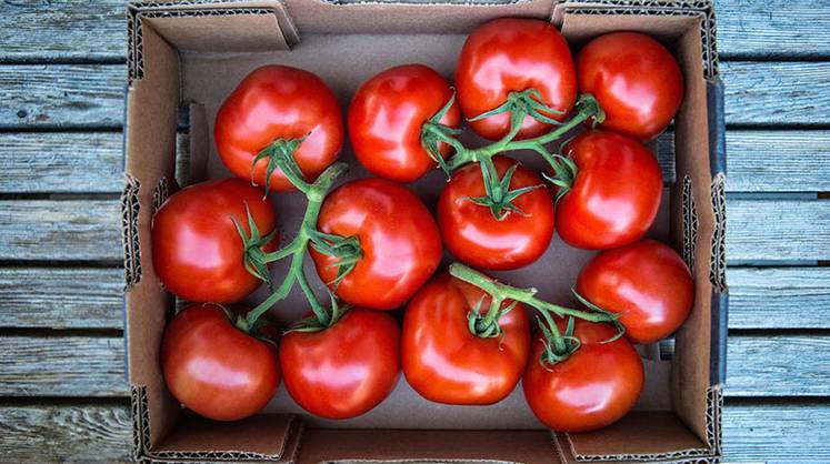 Диетолог назвала продукты, помогающие победить весеннюю депрессию