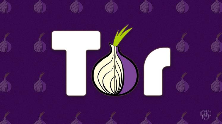 Роскомнадзор ограничил доступ к сайту браузера Tor