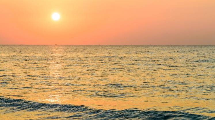 Состояние моря у популярных курортов Турции встревожило экологов