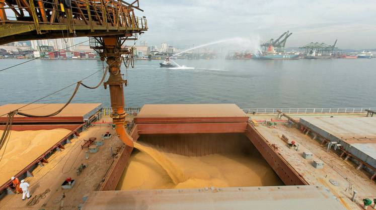 Российские компании прекратили закупку пшеницы на экспорт